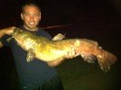 Marion catfish