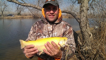 Albino Trout