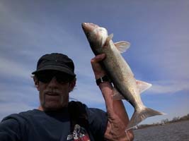 Cheney Walleye